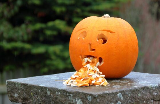 pumpkin halloween nausea bad 3630614